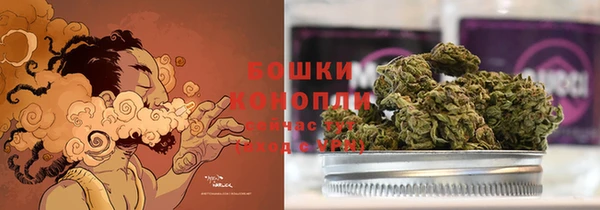амф Бронницы