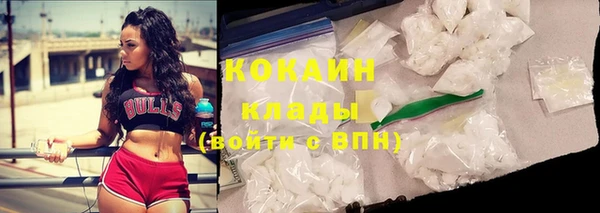 амф Бронницы