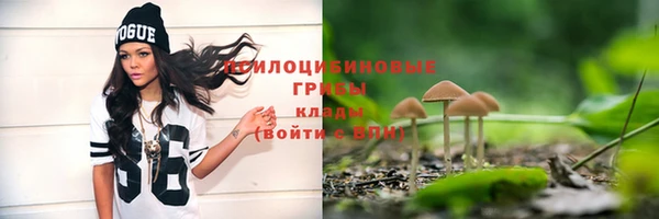 кокс Бородино