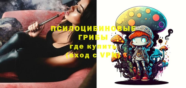 кокс Бородино