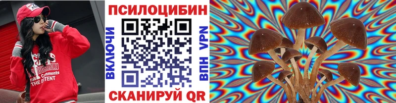 Галлюциногенные грибы Psilocybe  Купить закладки  Лысково 